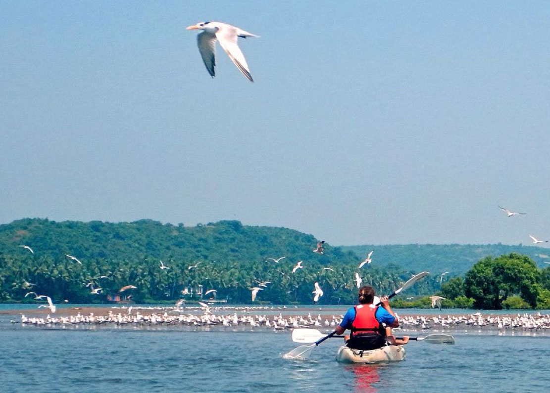 Tubing in South Goa